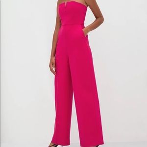 Ten by Babaton Aritzia Fire Jumpsuit